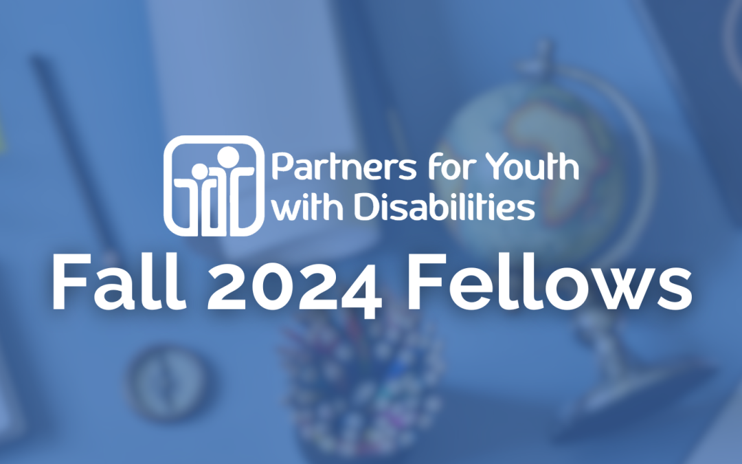 Fellowship Spotlight: Fall 2024